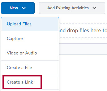 Displays New options with Create a Link selected