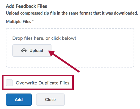 Add Feedback Files Indicates Upload option and Identifies overwrite permission