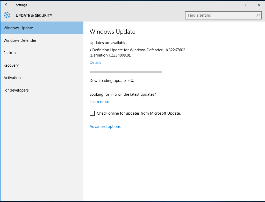 Windows Update check screen.