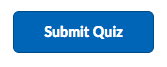 Shows Submit Quiz button