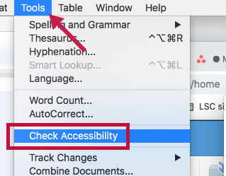 Identifies Check Accessibility