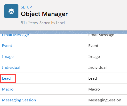 Object Manager - Lead - Salesforce Workflow Rule