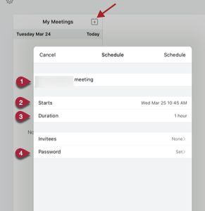 Shows scheduling meeting screen