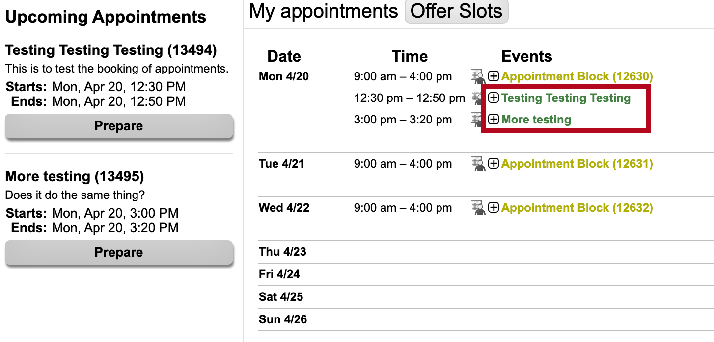 Shows booked appointments - faculty view