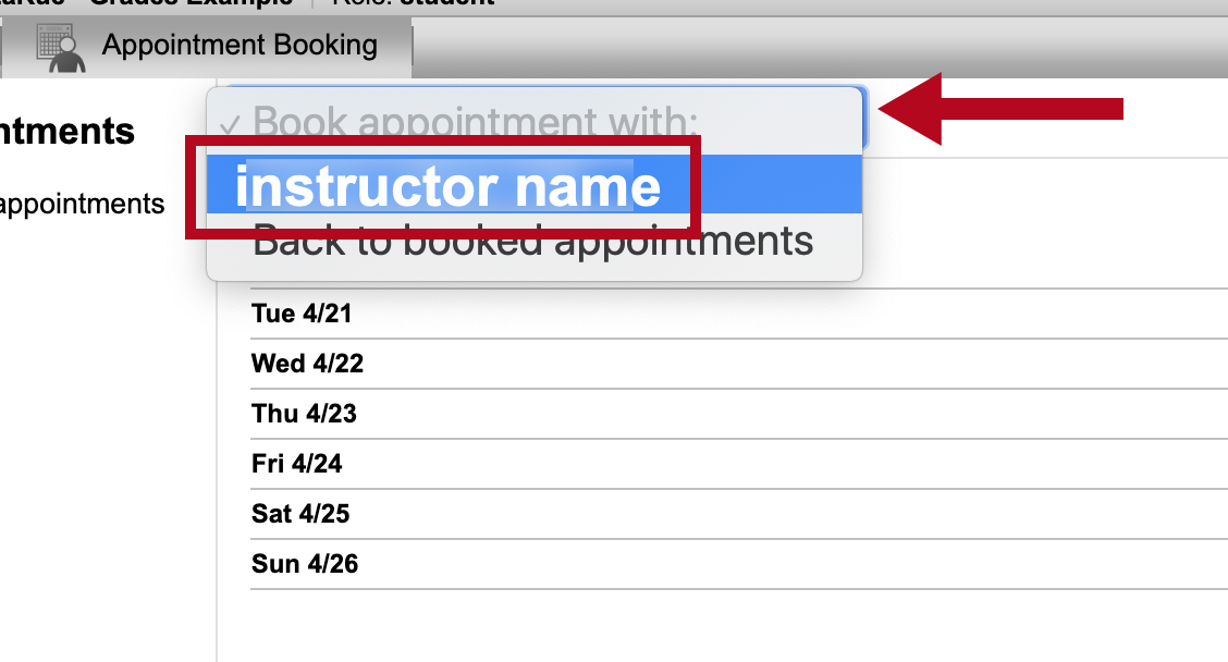 Indicates the Book appointment dropdown menu and identifies instructor name field.
