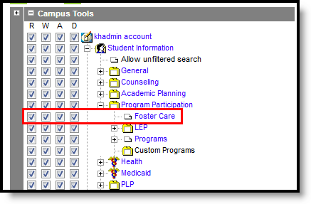 Screenshot of the Tool Rights tool, highlighting the Foster Care rights.  