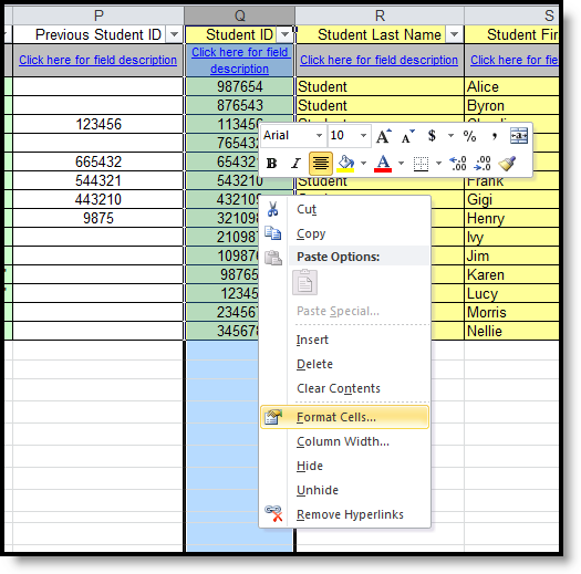 Screenshot of how to format cells in an Xcel file