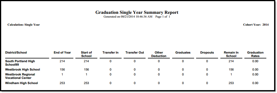 Screenshot of the Single Year Summary in PDF format