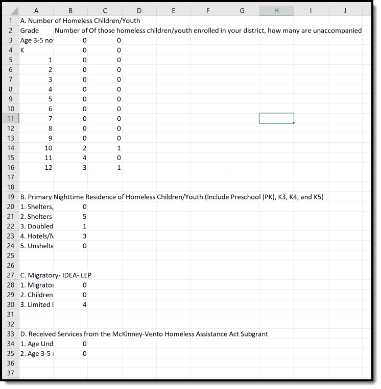 Screenshot of Homeless Report in State Format (CSV).