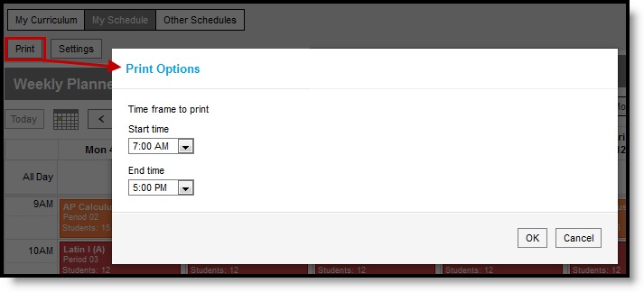 Screenshot highlighting the Print button in the planner and the Print Options window that displays. 