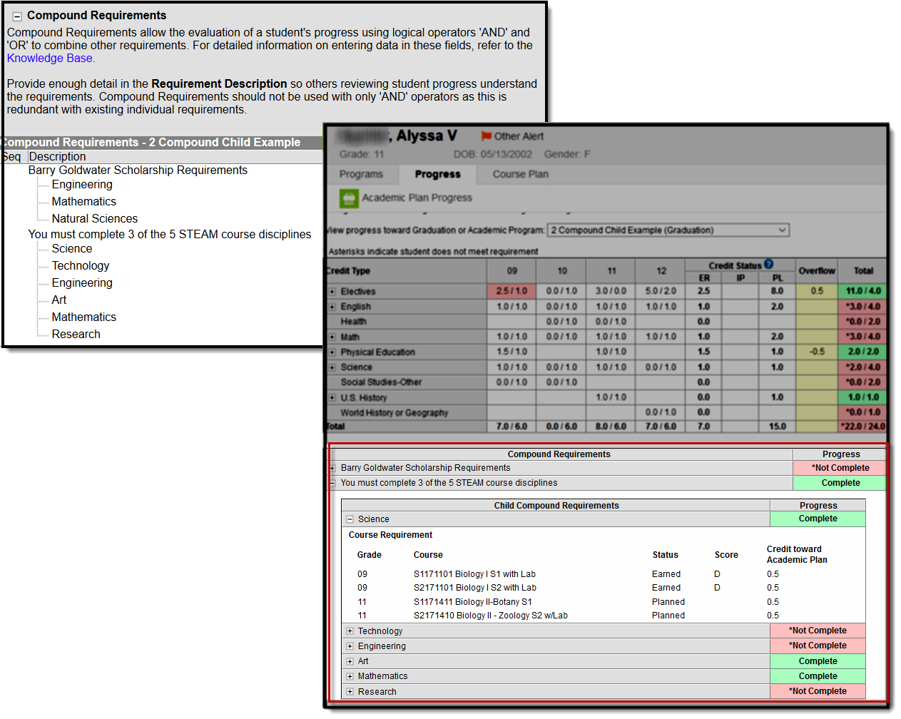Screenshot of the Compound Requirements Editor with the student's Progress included. 