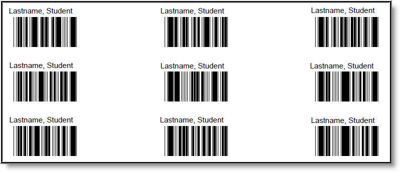 Screenshot of an example of the PIN Barcode Labels report. 
