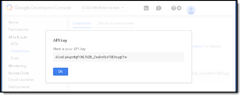 Screenshot of the API key in the google developer console.  