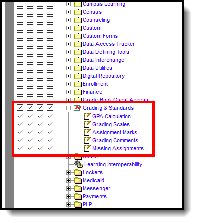 Screenshot of tool rights aligned to Grading and Standards.