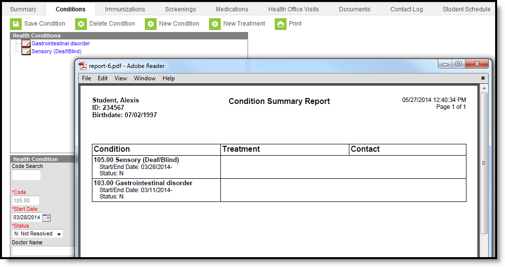 Screenshot of the condition summary report pdf example.