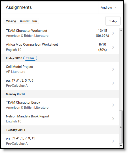 Screenshot of the assignments tool in campus parent.