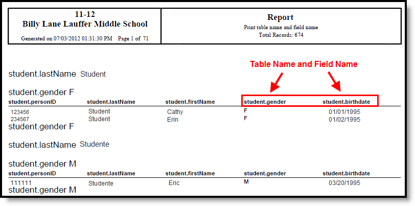 screenshot of the export generated in the pdf table name and field name format