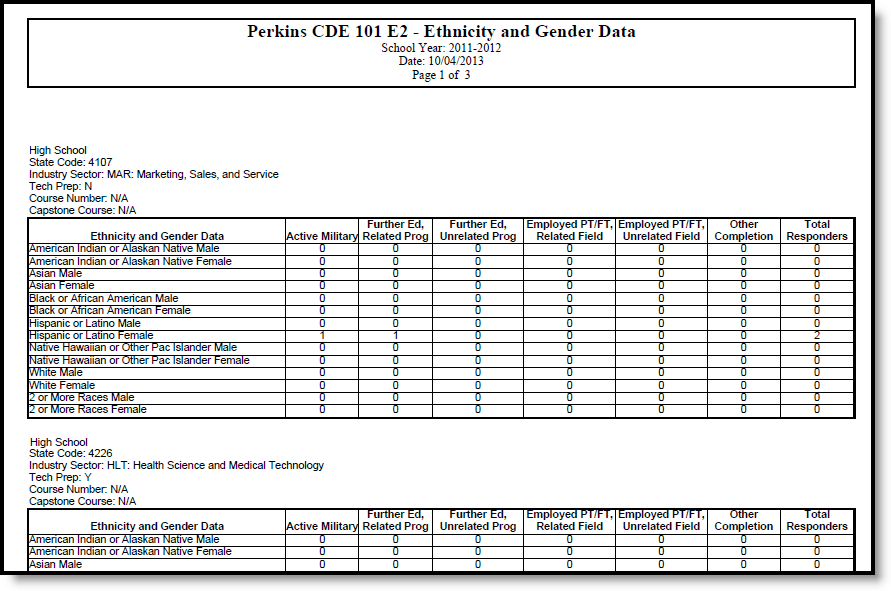 Screenshot of the Race and Ethnicity details in an example of the Perkins CDE 101 E-2 Report.