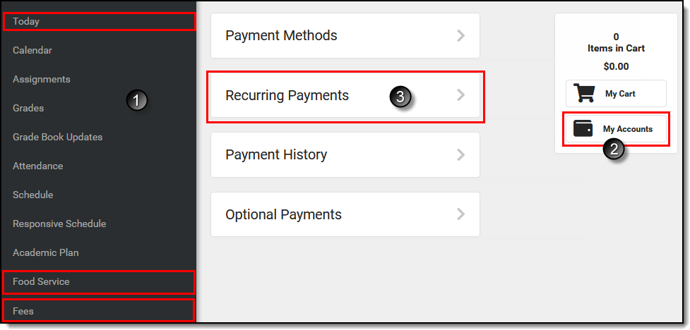 Screenshot of the Recurring Payments option