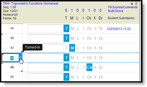 Screenshot of a scored assignment expanded, with flags shown. 