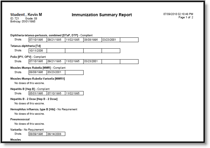 Screenshot of the Immunization Summary Report PDF example.