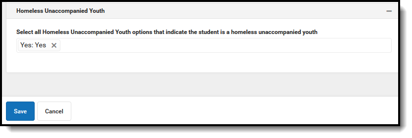 Screenshot of Homeless Unaccompanied Youth options.