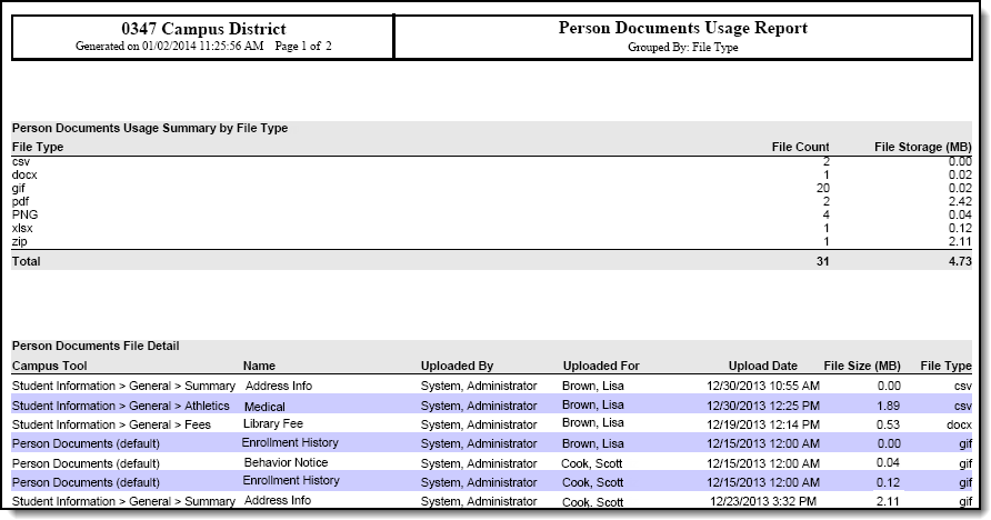 Screenshot of an example of the report grouped by file type.