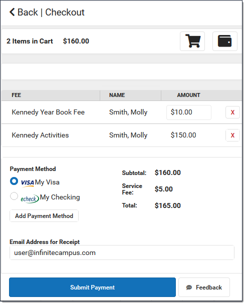 Screenshot of Submit Payment for items in cart