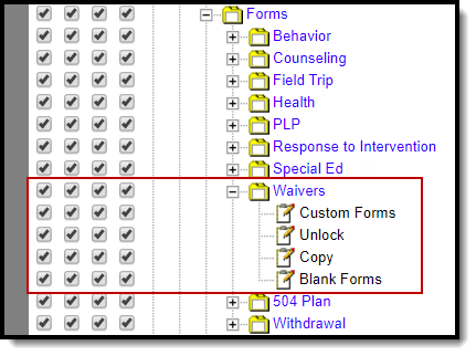 Image of the Custom Module Forms tool rights