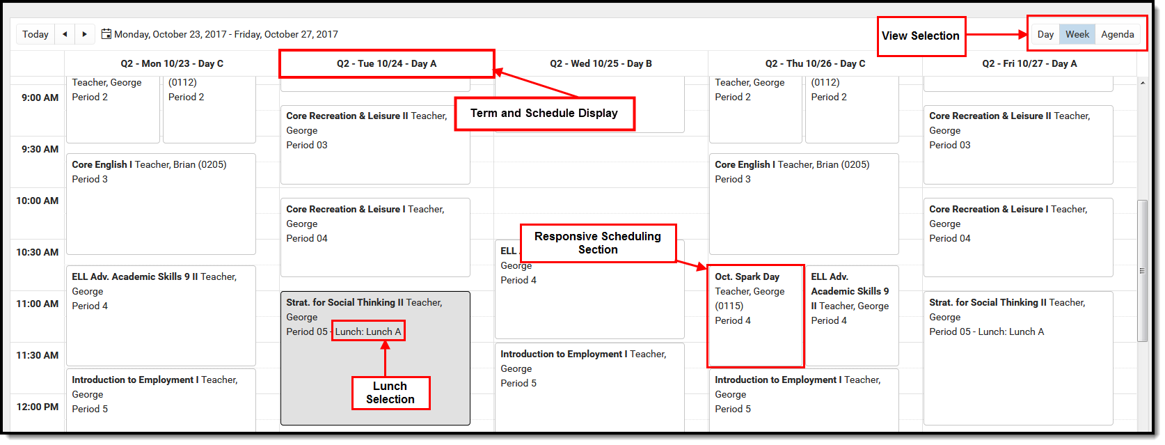 Screenshot of the week view, showing the lunch assignment, a repsonsive scheduling section, and the term and schedule display.