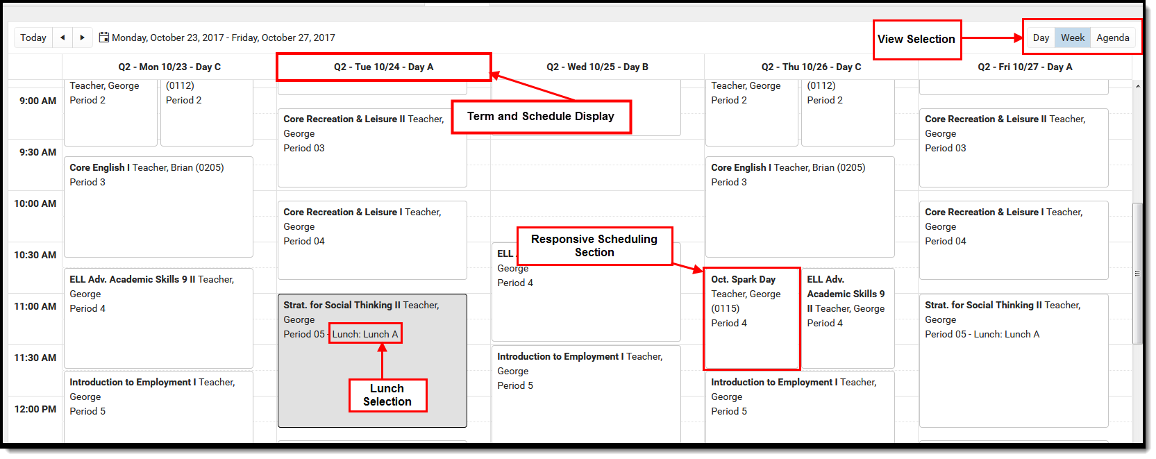 Screenshot of the student's schedule showing a responsive section, the assigned lunch period, the term and schedule, 
