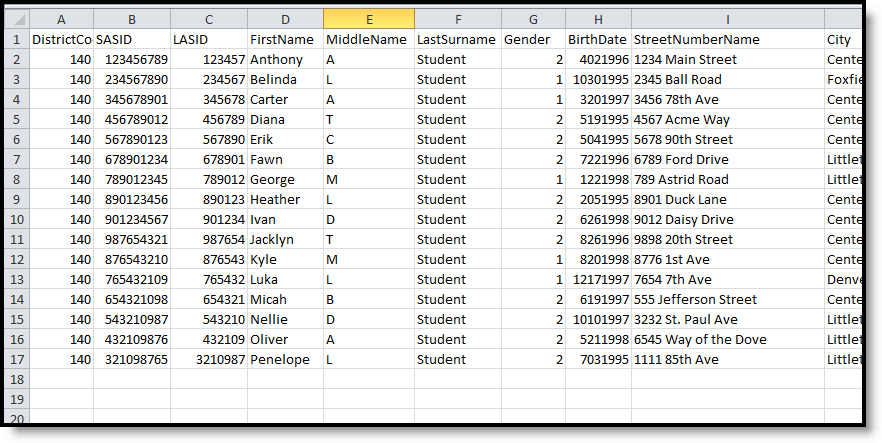 Screenshot of the CSV Format of the Student Layout Report. 