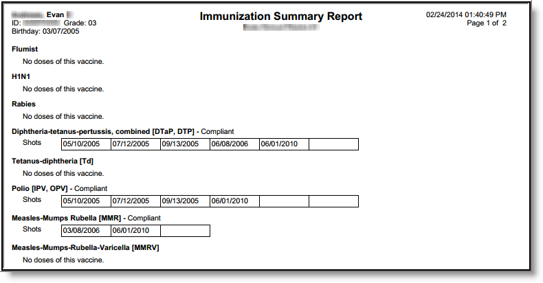 Screenshot of the Immunization Summary PDF example.