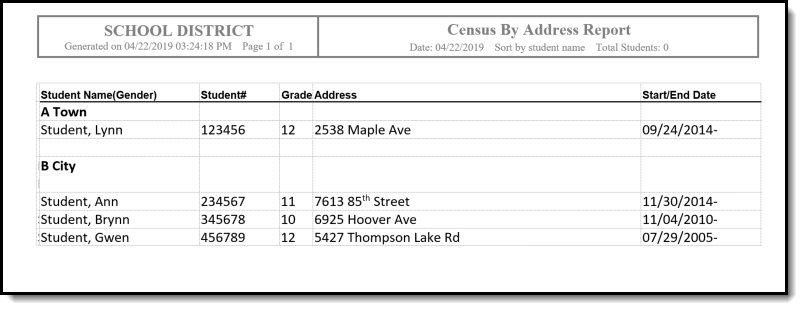 Screenshot of Census by Address Report output in DOCX.
