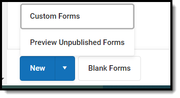 Image showing how to preview custom form