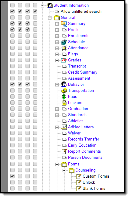 screenshot of Student Information Custom Forms Preview tool rights