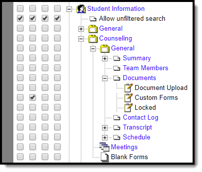 screenshot of Student Information Custom Forms Preview tool rights
