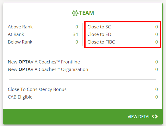 The three report types for the Close to Rank Report can also be accesses within the Team widget on the Engage Dashboard. 