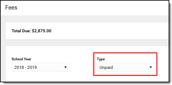 Screenshot of the unpaid option selected from the type field.