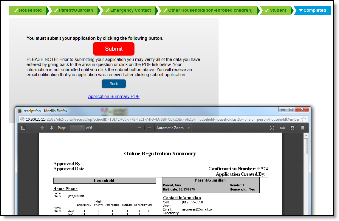 Screenshot of the Completed tab. A link to the Application Summary PDF appears along with the Submit button.