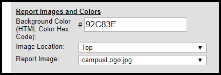 Image of the Report Image and Color options fields
