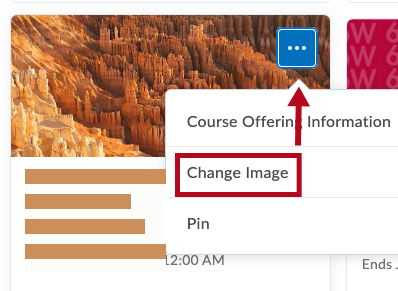 Identifies Change Image option for a course.