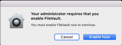 enable firevault