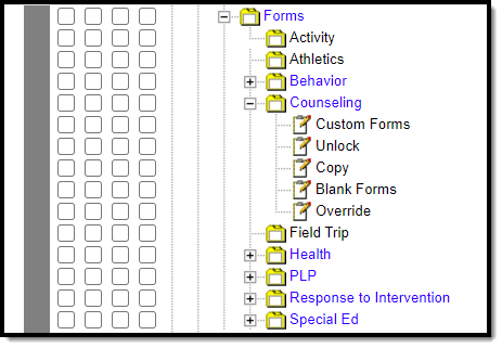 Image of Forms tool rights