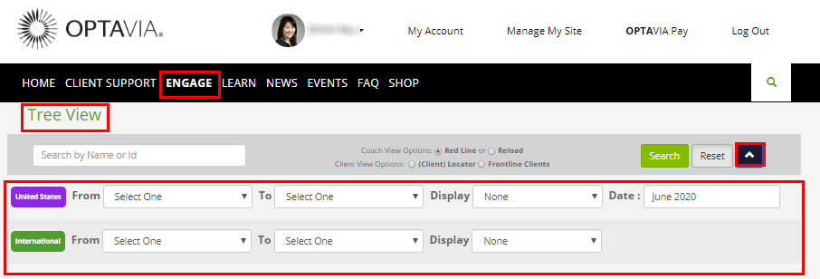Tree View Report advanced filters - selecting the drop-down arrow in the header allows you to select from the drop-down fields to search within your team both domestically and internationally.