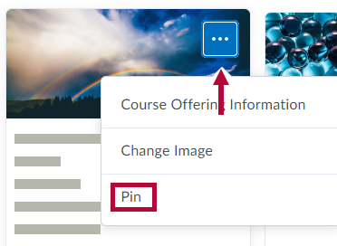 Indicates the Options menu and Identifies Pin option for a course.