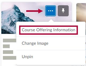 Indicates Options menu and Identifies Course Offering Information