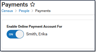 Screenshot of the enable payments toggle.