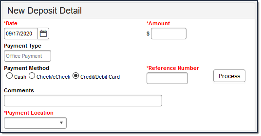 Screenshot of the New Deposit Detail section when the Credit and Debit Card option is selected.