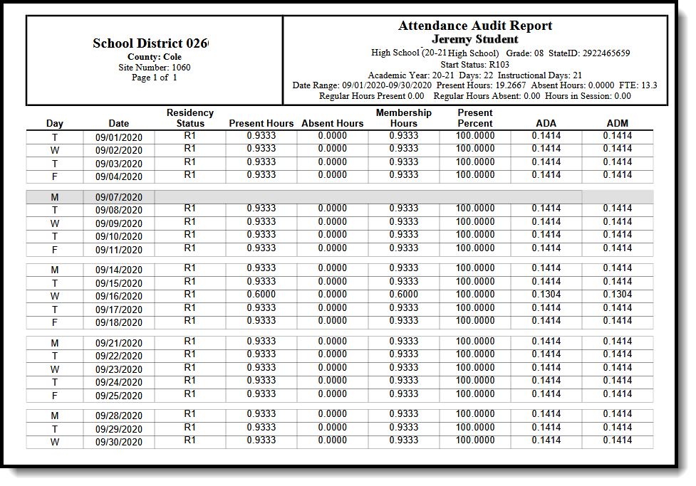 Screenshot of the Attendance Audit Report - Detail Type example.
